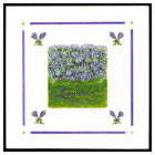 Lavender Field